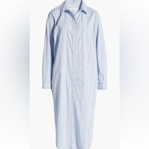 Treasure & Bond Light Blue Striped Dress